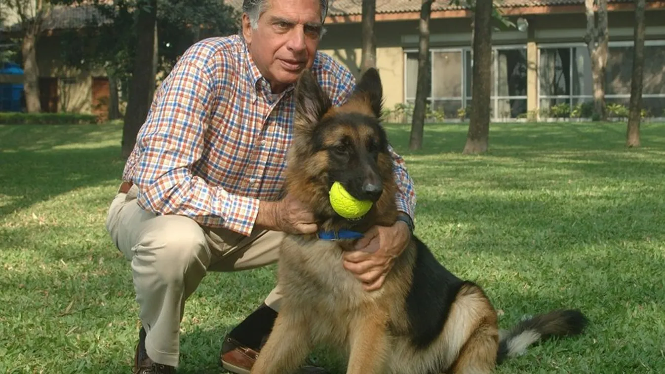 Mesés vagyont hagyott kutyájára az elhunyt billiárdos