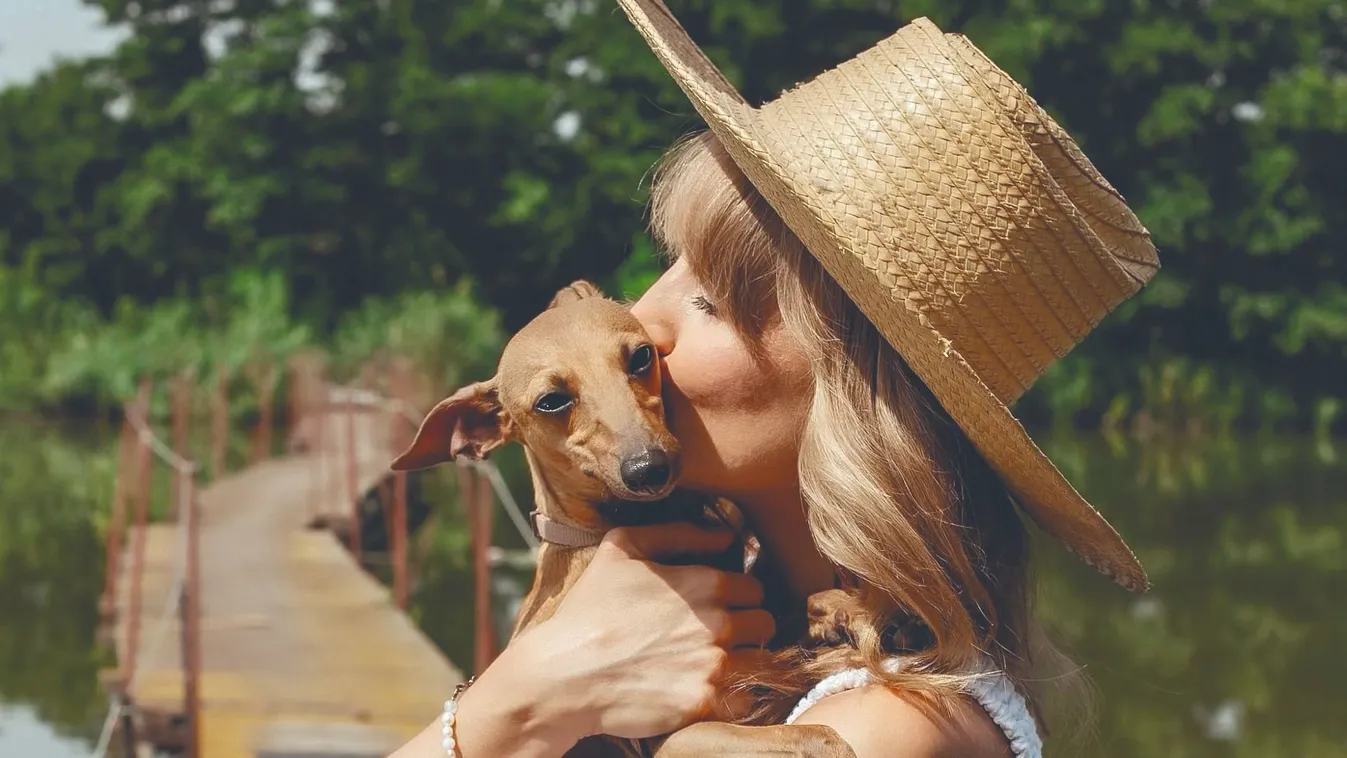 Így él a színésznő hat kutyájával