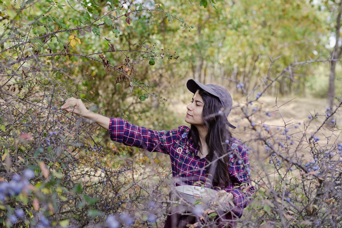 Girl,With,Cap,Collecting,Berries