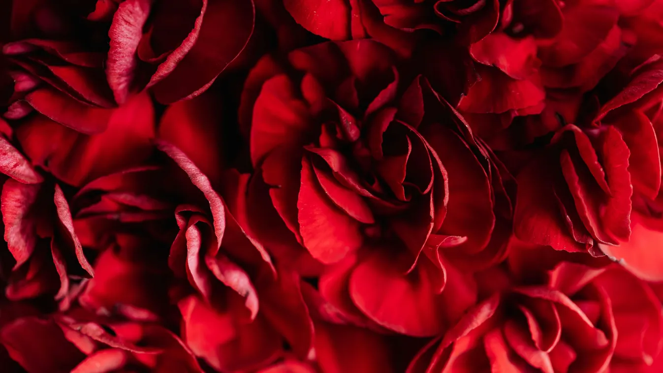 Bűnbarlang titkát fedték fel egy miskolci hegy gyomrában