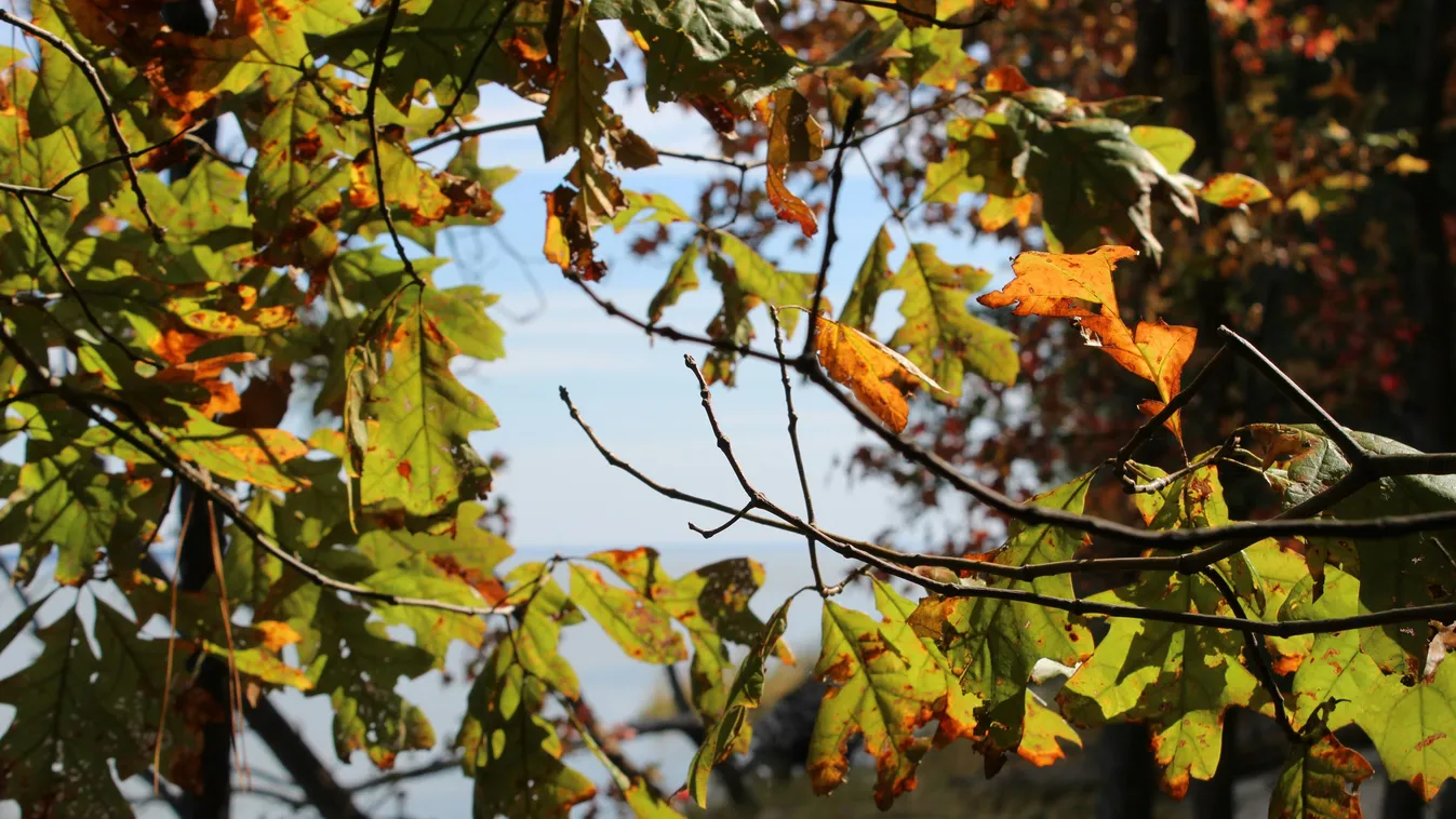 Kedvező fordulatot vesz az időjárás