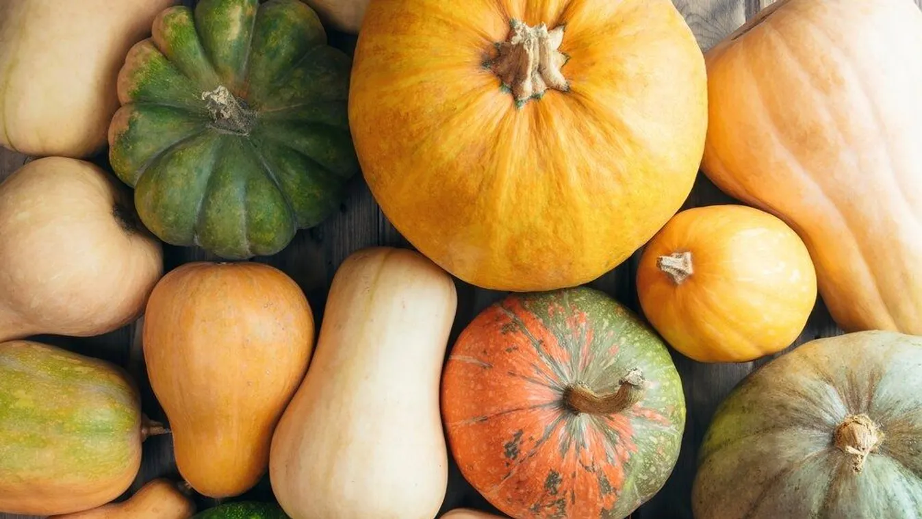 Melyik tök jó sütve és melyik okoz mérgezést?