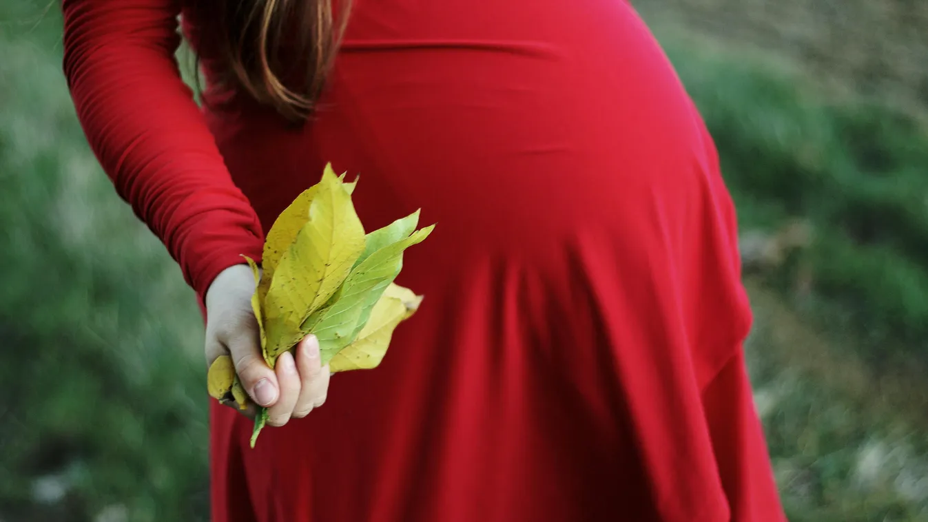 Kiderült: várandós volt a mecseki motorbaleset túlélője