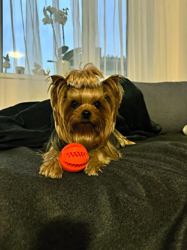 Béres Anett és a kutyája, Giovanni - Ripost