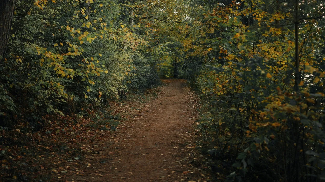Mutatjuk, milyen kabát kell szerdától
