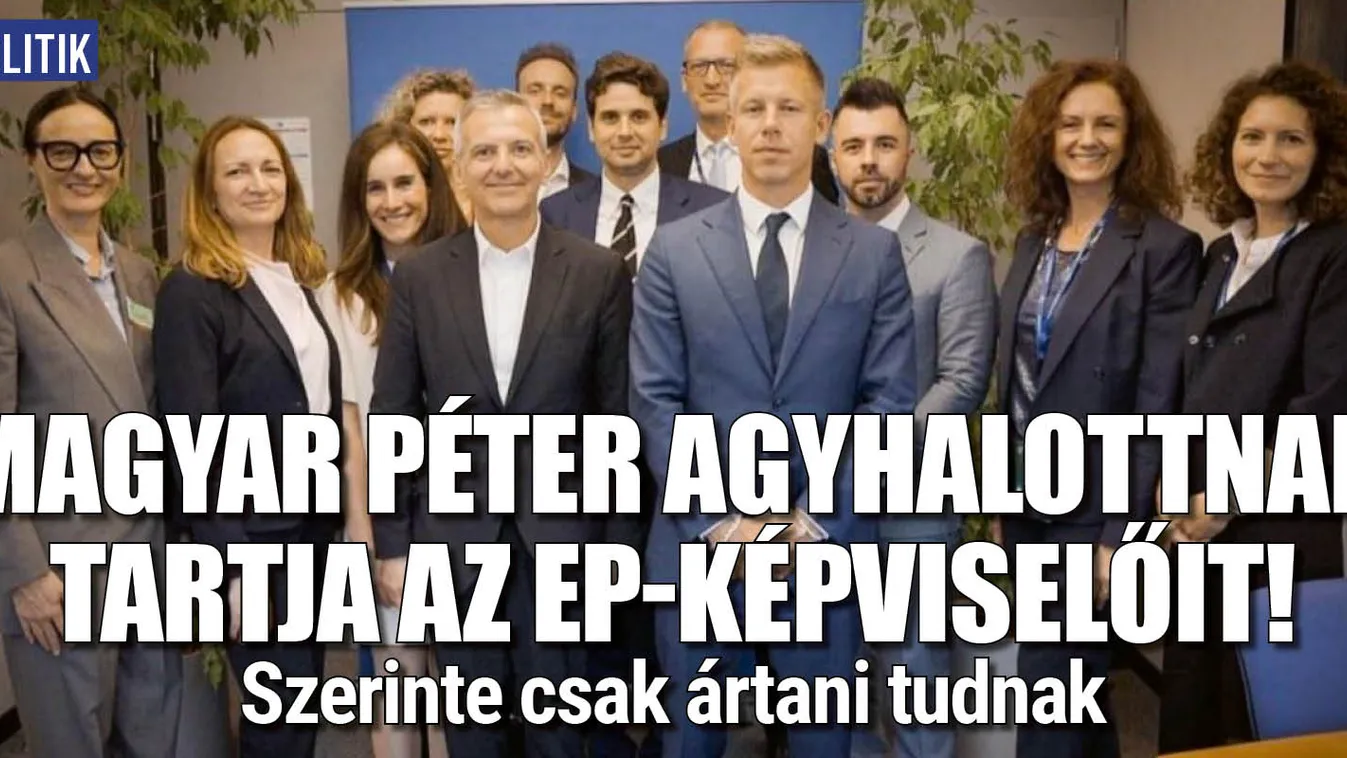 Magyar Péter "agyhalottnak" nevezi az EP-képviselőit!