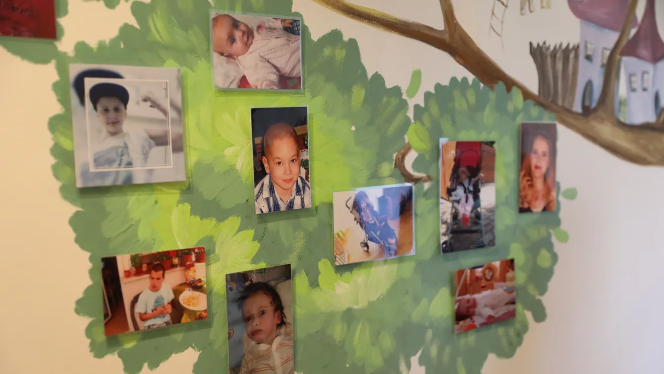 2,5 évesen veszítették el a szülei Lillát