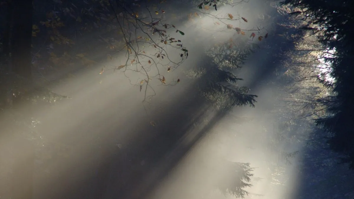 Borús időjárás dominál a héten