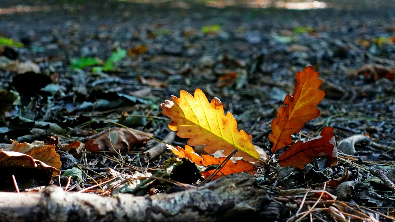 Több vármegye is riasztást kapott, erre kell felkészülni
