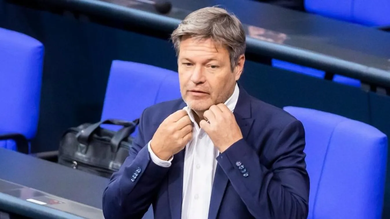 Hülyének nevezte az alkancellárt, házkutatást tartottak nála