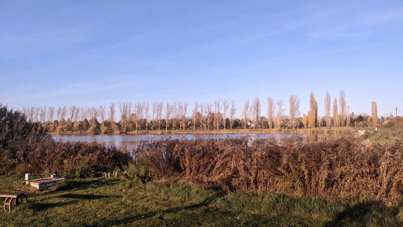 Dányi horgásztónál harcoltak a pecás életéért