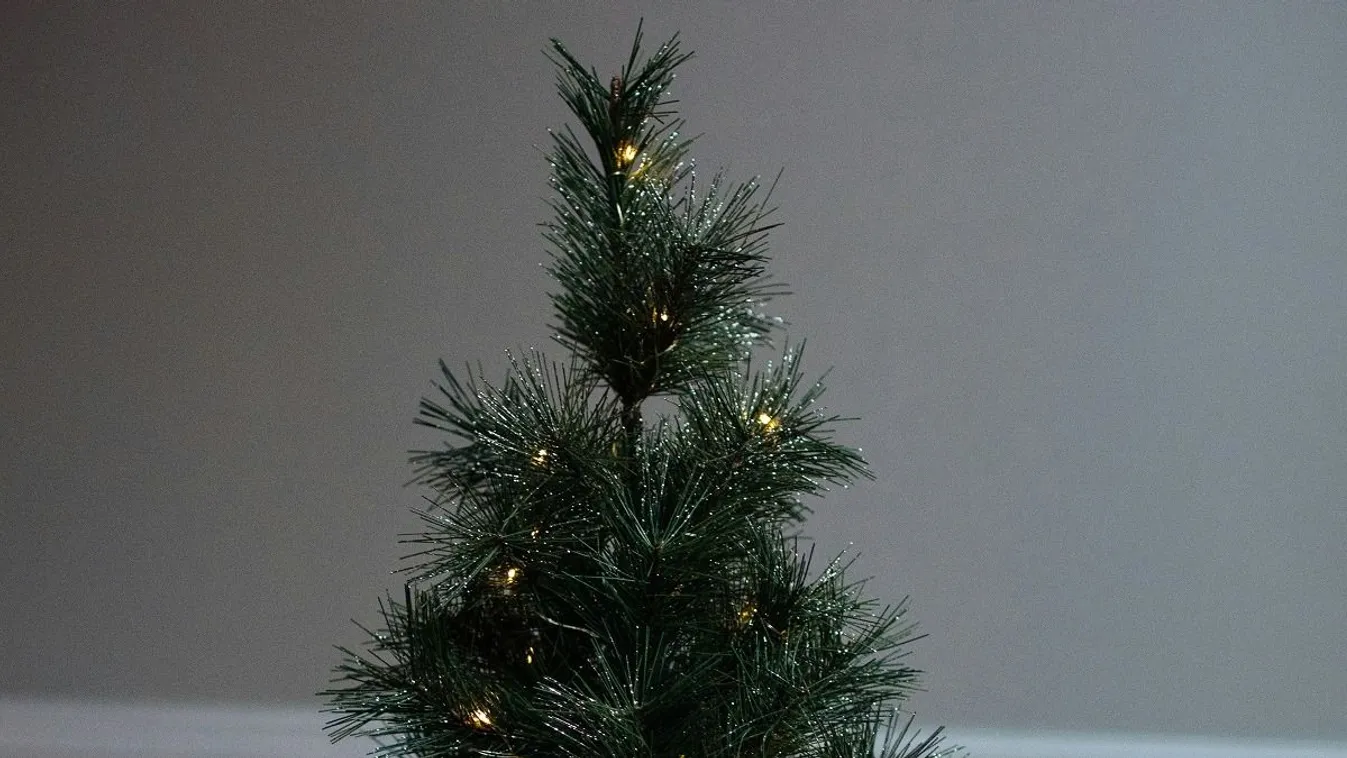 Ezt mindenképpen tudnod kell, ha műfenyőt vásárolsz
