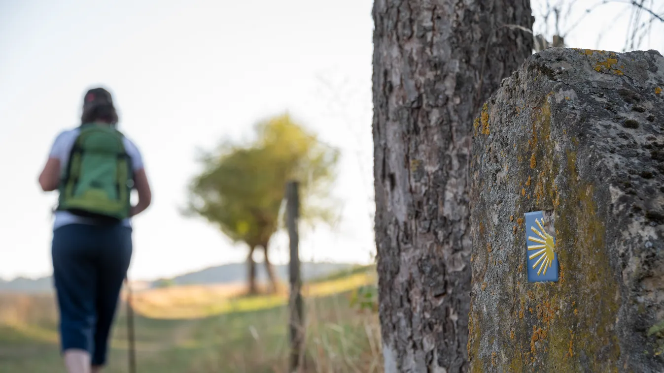 Rémisztő szexuális zaklatás ért nőket
