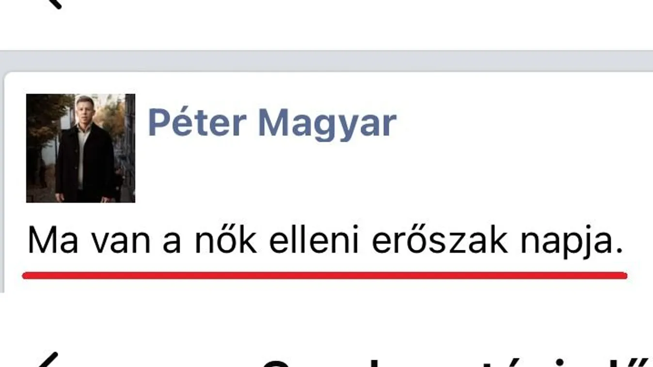 Magyar Péter ünnepelni kezdte a "nők elleni erőszakot"