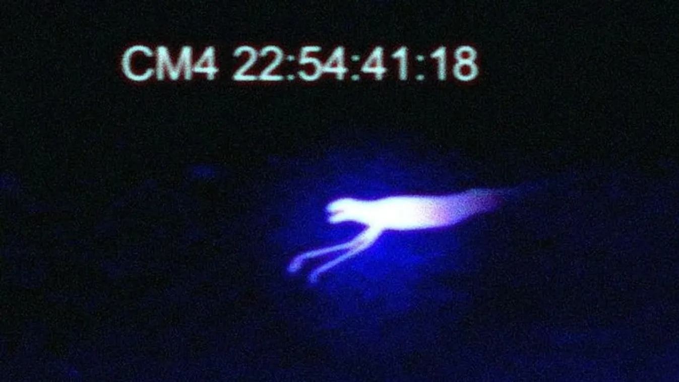 A Ningen legendája a magyarokat is foglalkoztatja