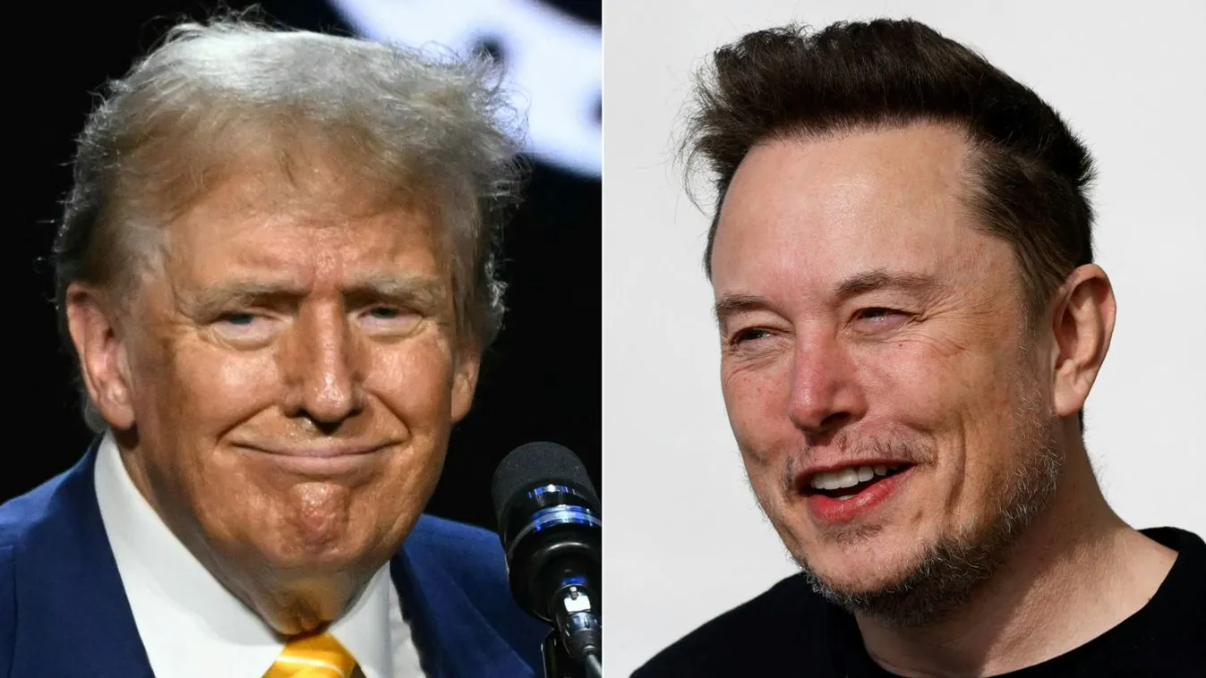 Ezt a feladatot kapja Donald Trumptól Elon Musk
