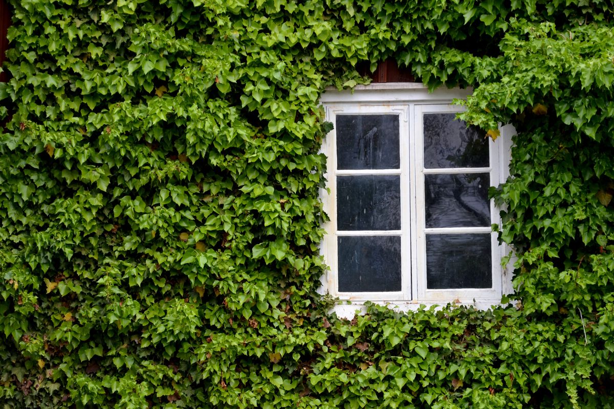 Wooden,House,Wall,With,White,Window,,The,Wall,Is,Not