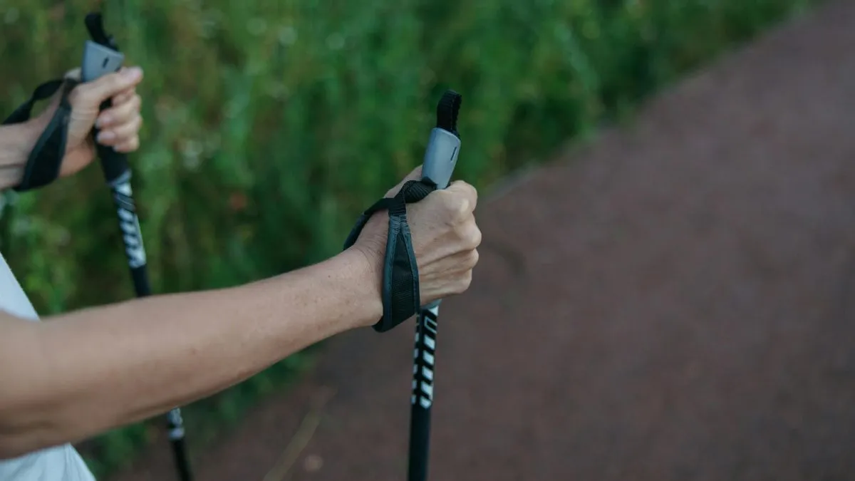 száj- és körömfájás