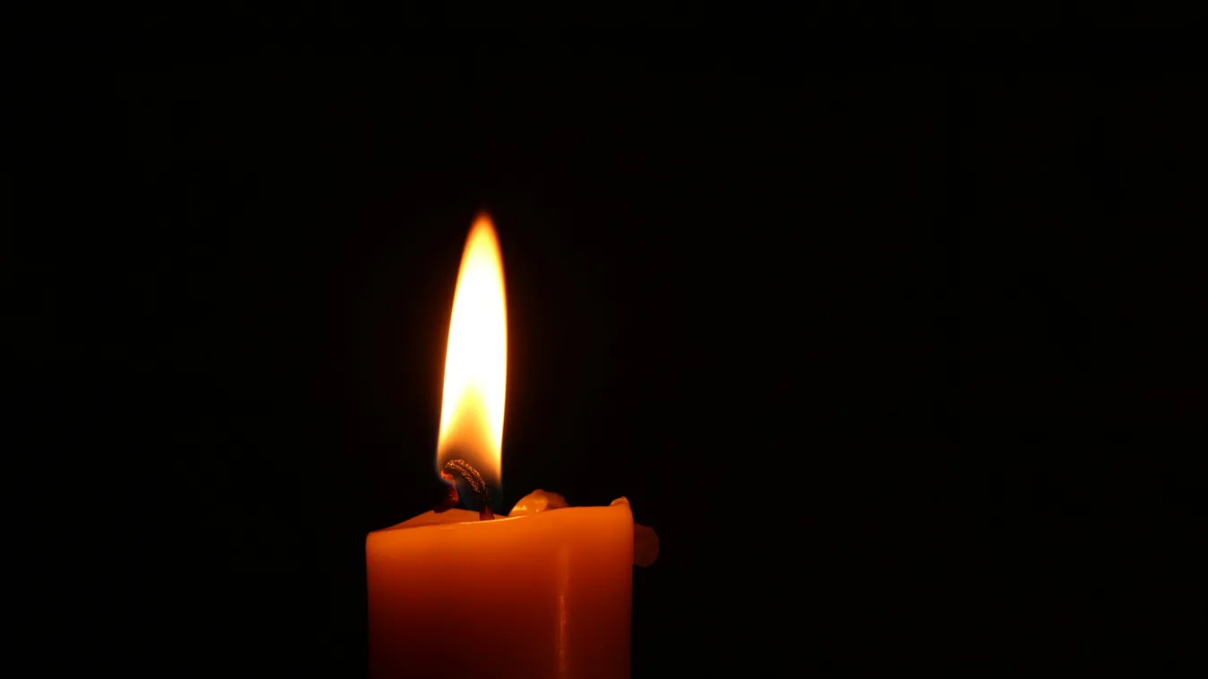 Disznók ölték meg a fiatal lányt