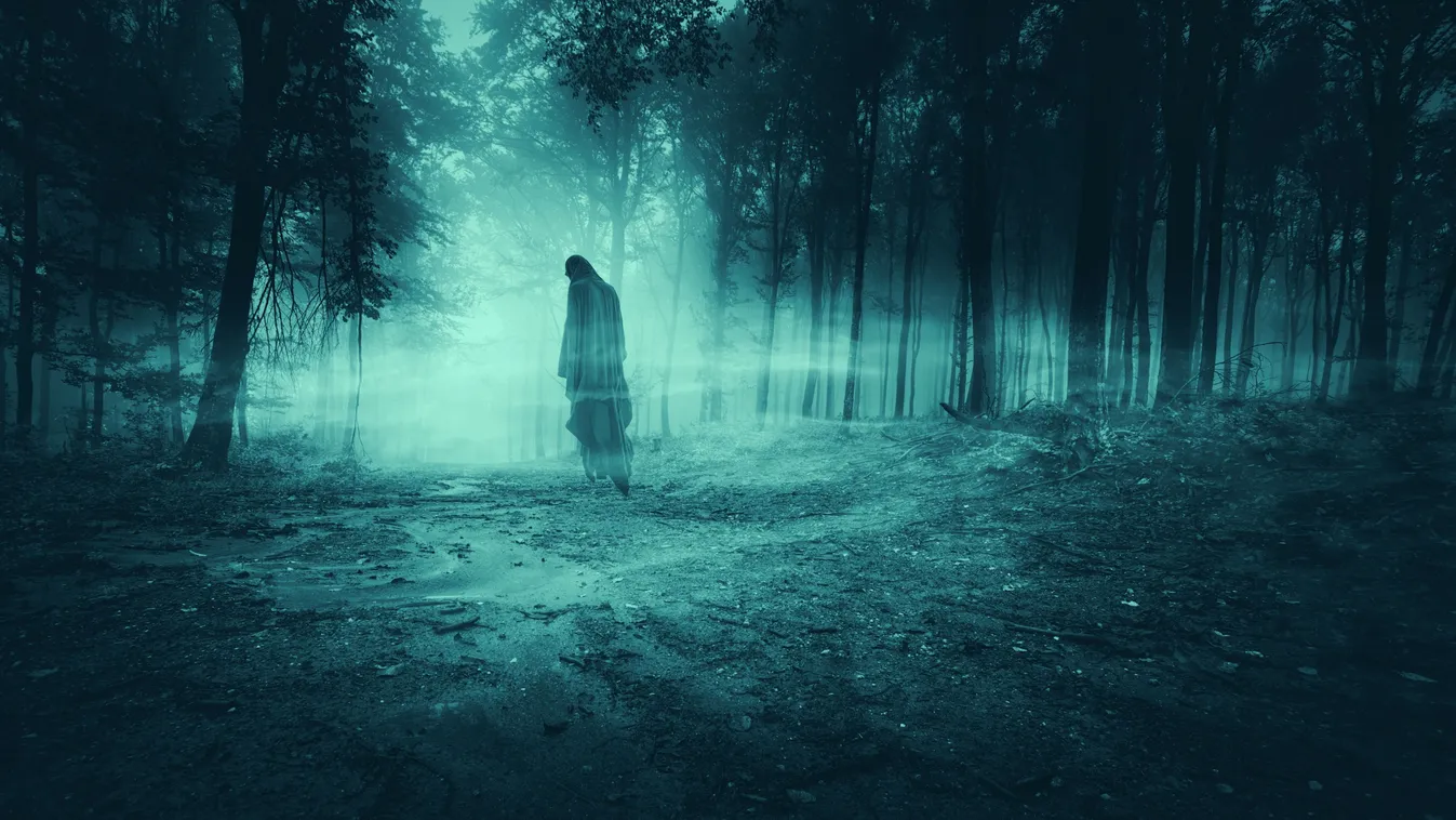 Meghűl az erekben a vér: szellemekkel teli erdőre bukkantak