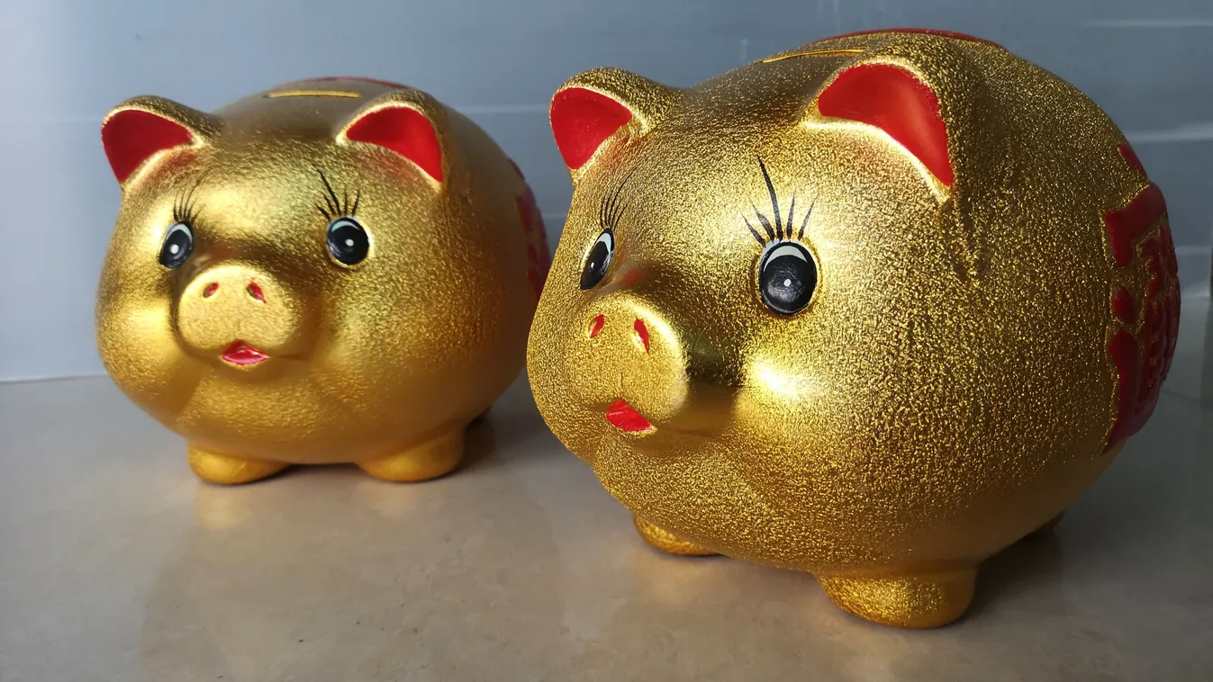 Óriási szerencsét hoz a csillagjegyeknek a vízi disznó hava