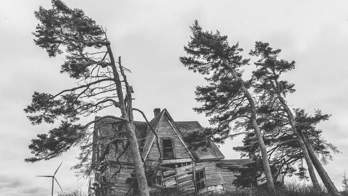 Viharos széllökések várnak ránk a karácsony előtti napokban