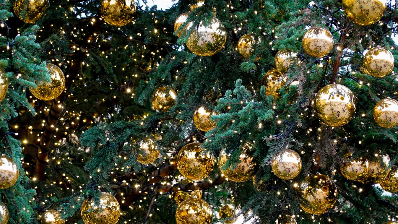 Elképesztő! Ilyen extrém karácsonyfákat még nem láttál