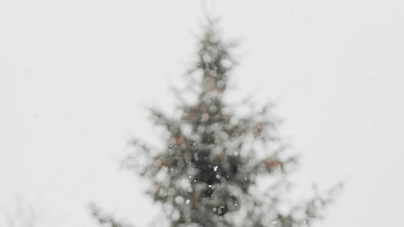 Valami esni fog Mikulás napján, az biztos