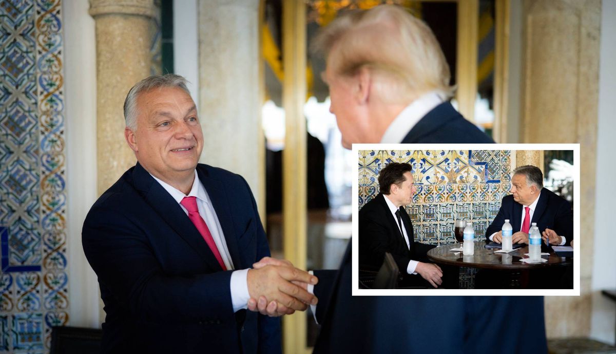 TRUMP, Donald; MUSK, Elon; ORBÁN Viktor