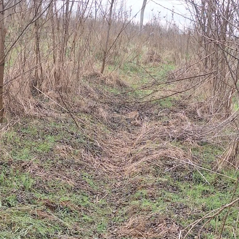 Megtalálták az eltűnt Hadi Róbert holttestét