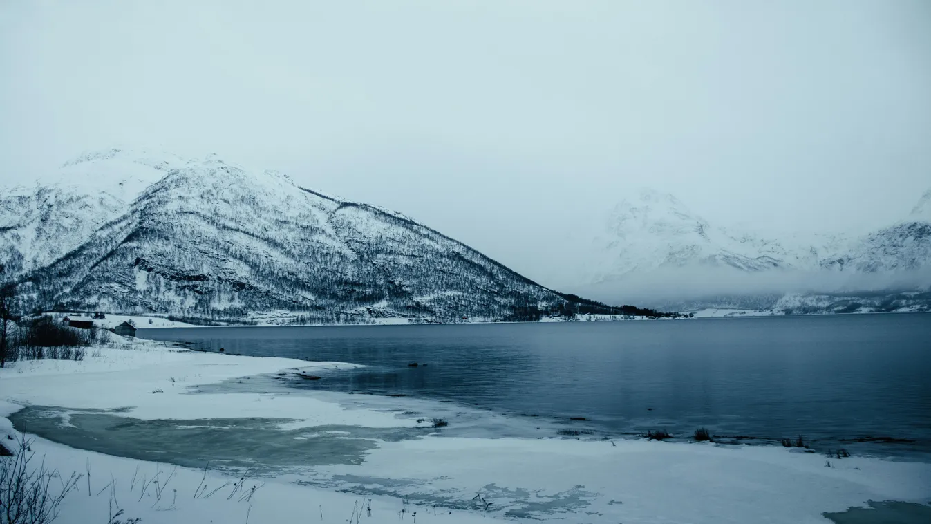 A cica lett a nap hőse, megmentette gazdája életét