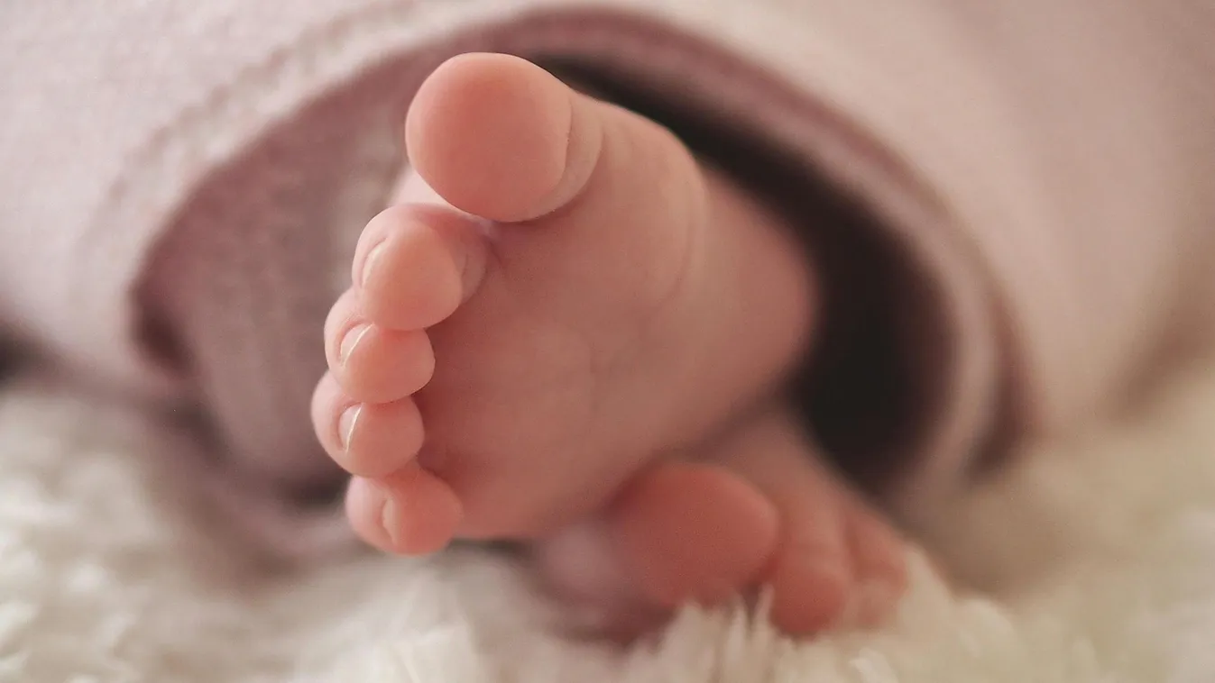 Két élő csecsemőt találtak az árokban