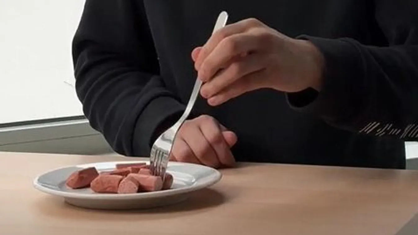 Teszteltük: ez a legfinomabb virsli - Videó