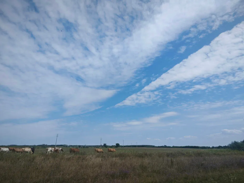 NE HASZNÁLD ILLUSZTRÁCIÓRA!!!