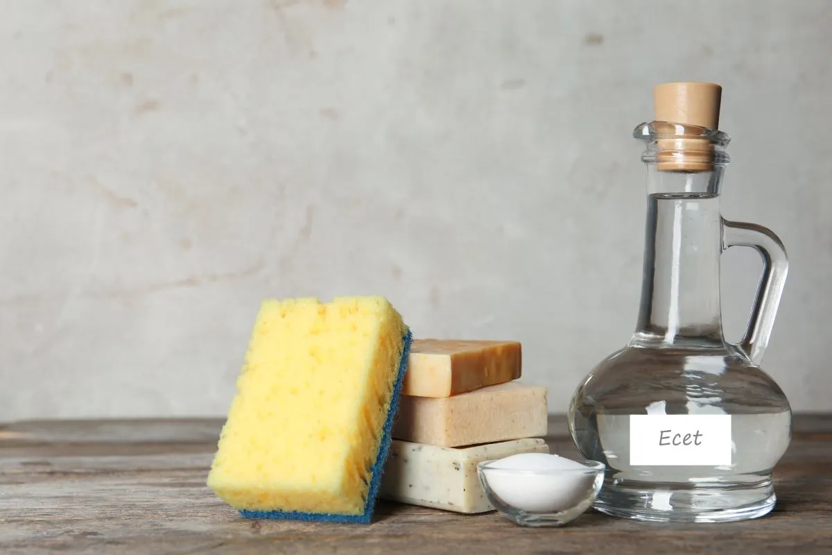 Ecet Composition,With,Vinegar,And,Cleaning,Supplies,On,Table
ecet
