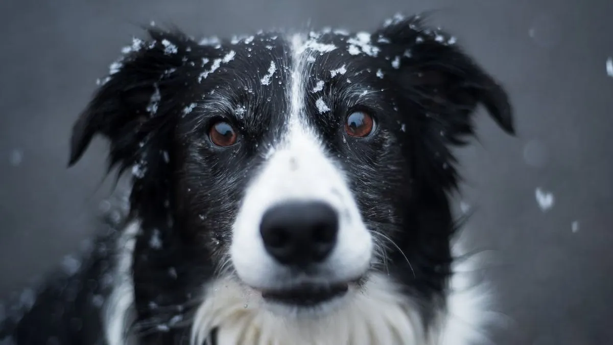 Akár kisseb havazás is érkezhet ország magasabban fekvő területeire.