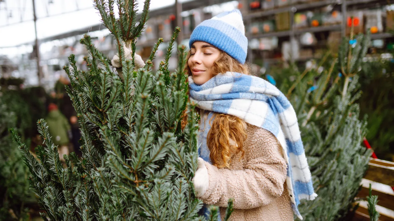 Megvetted a fenyőt? Így tárold, hogy gyönyörű maradjon!