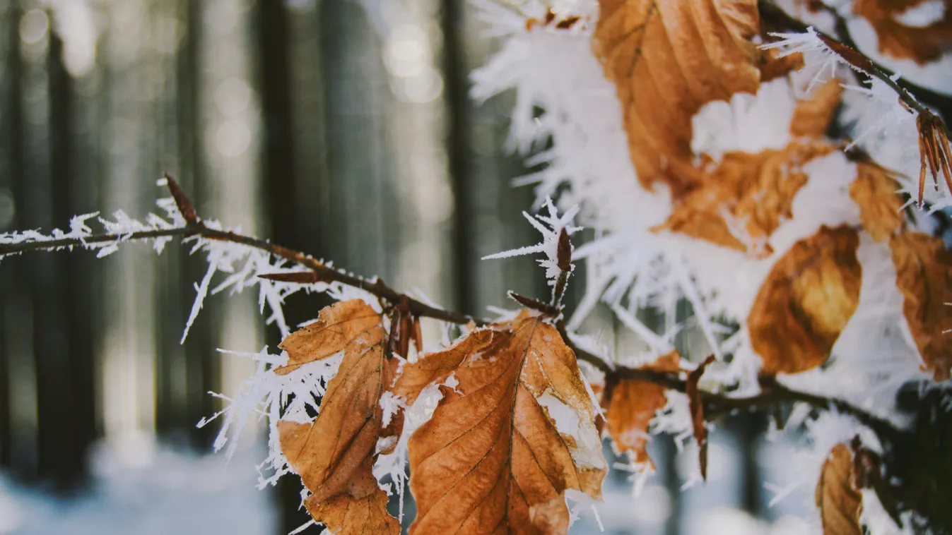 Ezt kapjuk havazás helyett az év utolsó napjaira