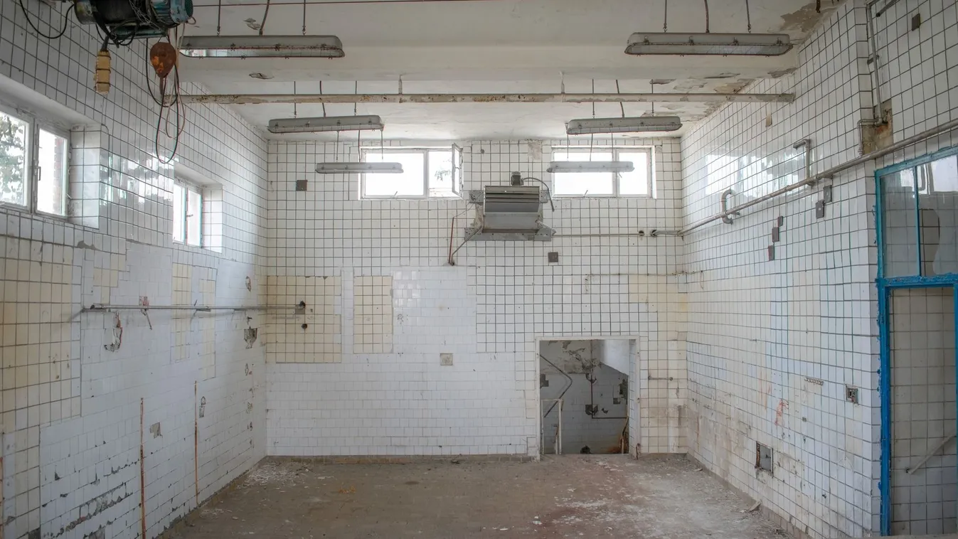 Rejtélyesen eltűnt egy egész üzem személyzete - Galéria