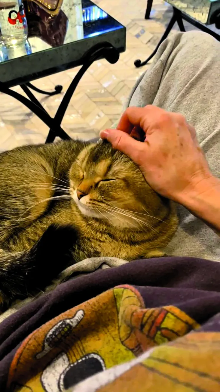  Teri Hatcher ugyan jól néz ki, de évek óta szingli - Nem tolonganak értem a férfiak - RIPOST 
