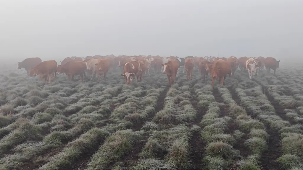 NE HASZNÁLD ILLUSZTRÁCIÓRA!!!