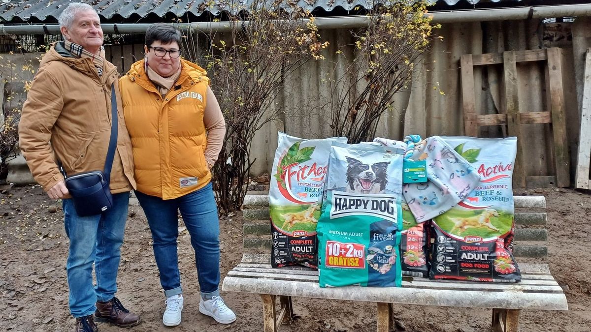 Balogh Tamásnét még az adományozásért is támadják: „Azt írták, hogy pénzéhes vagyok”