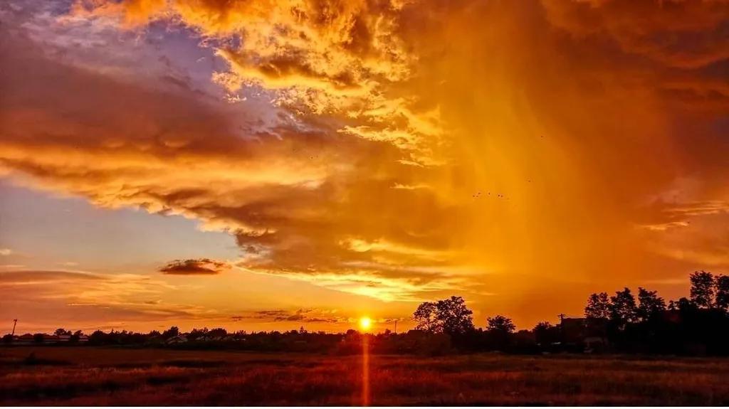 NE HASZNÁLD ILLUSZTRÁCIÓRA!!!