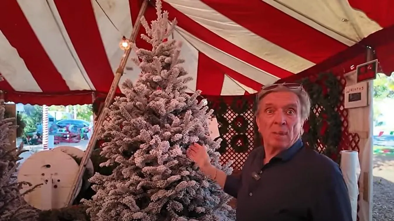 Életük mélypontja után így készülnek a karácsonyra Polgárék