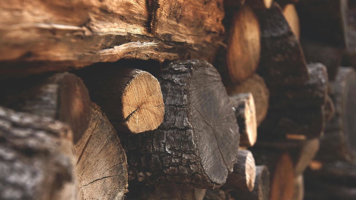 9 éves, de már saját cége van egy kisfiúnak: milliárdos akar lenni