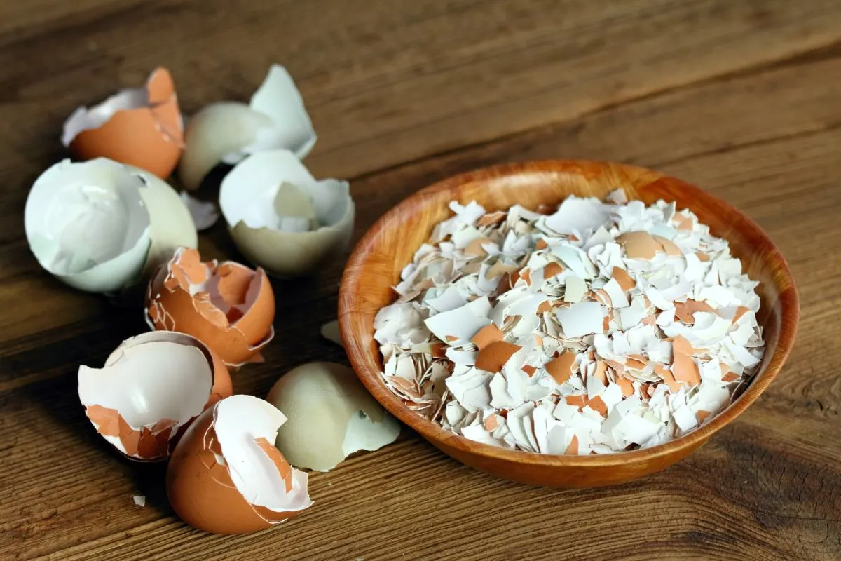 Tojáshéj Crushed,Egg,Shells,In,A,Bowl,On,The,Wood,Table.