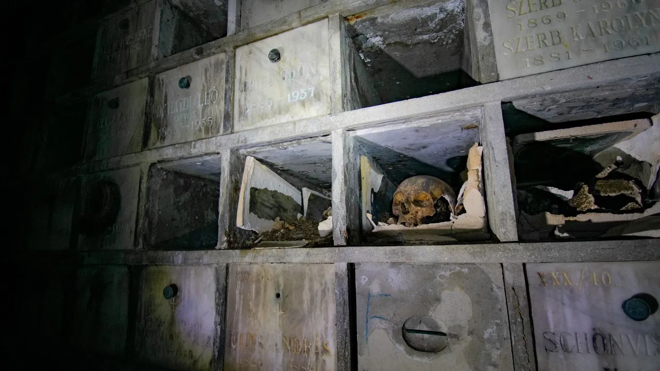 Ledarált emberi csontok és koponyák