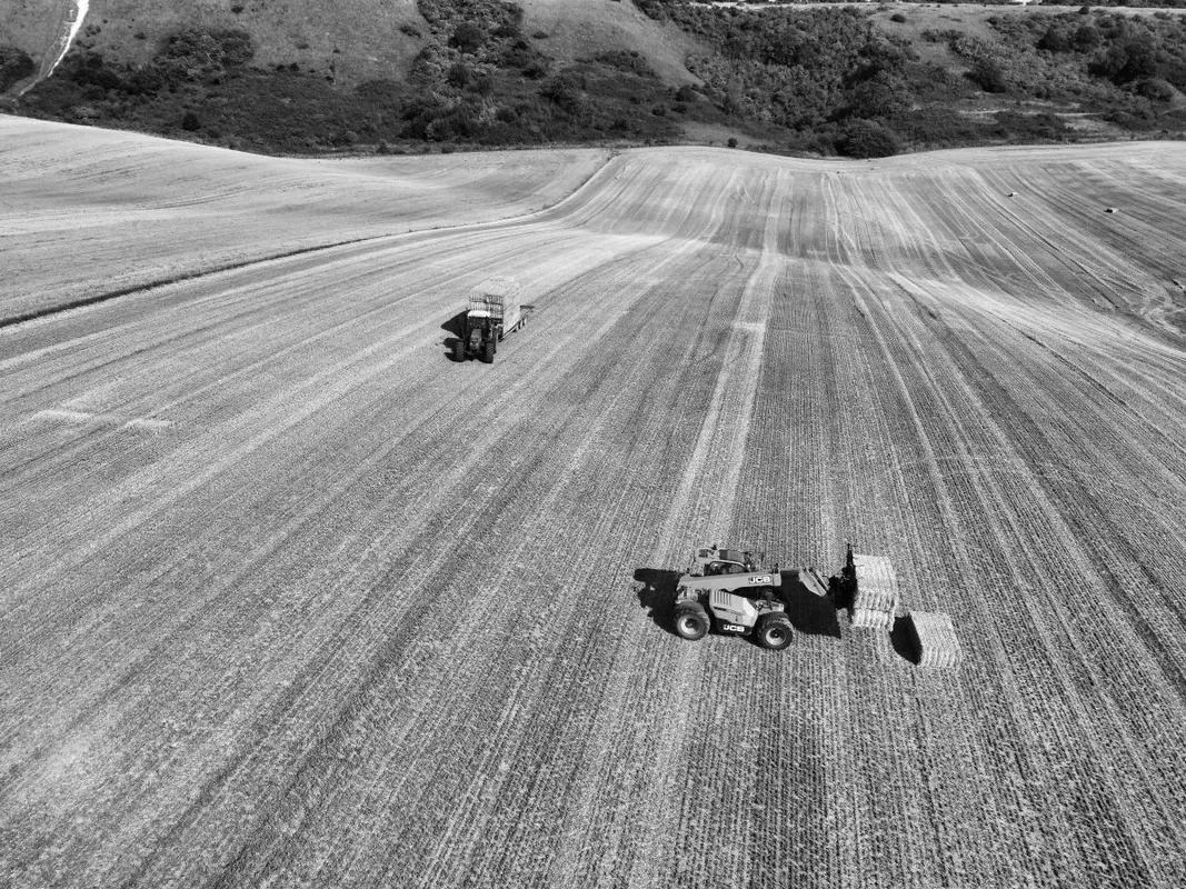 teleszkópod rakodógép búza mező gazdaság farmer farm szántás vetés aratás 