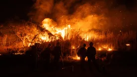 Felfedte az időutazó: ő áll a Los Angelesben pusztító tűz mögött