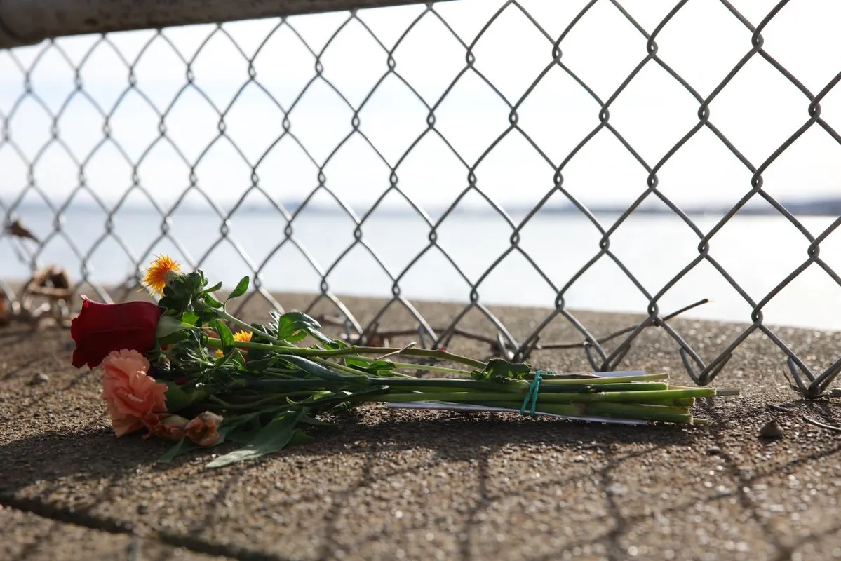 washington repülőbaleset 2025. január 29, Potomac folyó